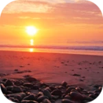 ocean sunset android application logo